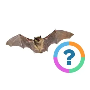 Quiz bijzondere dieren